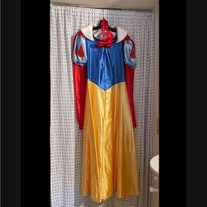 Halloween-Adult Snow White costume